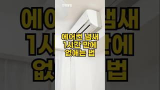 고약한 에어컨 냄새 바로 없애는 꿀팁 #꿀팁 #에어컨 #청소 #곰팡이