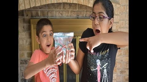 Unleakable Baggie | Leak Proof Bag | Kids Home Science | Home Experiment | DIY Easy Science