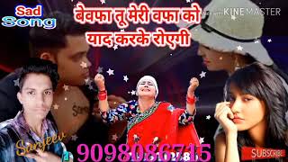 बेवफा तू मेरी वफ़ा को याद करके रोएगी एचडी वीडियो सॉन्ग