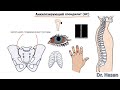 Анкилозирующий спондилит (болезнь Бехтерева) | определение, этиология, патогенез, клиника, диаг, леч