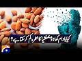 Eating Almonds Reduce the Risk of Dementia ? | Geo Digital