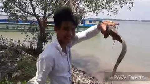 Tiếp tục câu ở bến câu cũ. Lên Cá ngác qua đã | QUỐC BẢO CHANNEL |