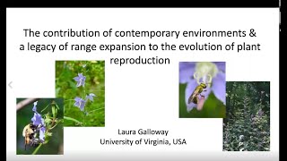 Laura  Galloway, Department of Biology, University of Virginia, USA. 2.10.2020