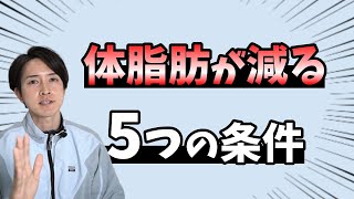 【ダイエット】体脂肪を減らすための条件を解説します。痩せたい人は見てください！