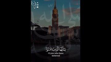 ﴿إِنَّ اللَّهَ وَمَلائِكَتَهُ يُصَلّونَ عَلَى النَّبِي﴾ الصلاه على النبي للقارئ عبدالرحمن الماجد 🤍.