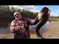 Отсечь шнурков!  Щучьи резиновые монстры  Strike Pro Giant Pig Tail  &amp;  Gator Catfish