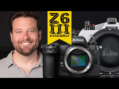 Nikon Z6 III Setting it Up // Ikelite 200DL Underwater Housing