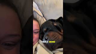 The Truth About Dogs Sleeping Near Owners