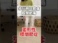 変形性膝関節症による歩行時の膝痛ビフォーアフター　恵比寿【膝痛専門】整体院蒼-AO-