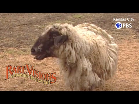 Baraboo, WI, to Phillips, WI | Rare Visions & Roadside Revelations, Ep. 305