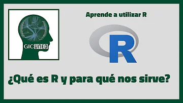 ¿Quién utiliza R?