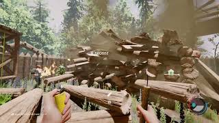 Lbs Playing The Forest