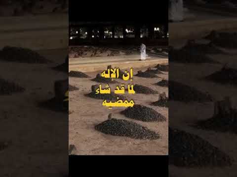 ايدري القبر من فيه