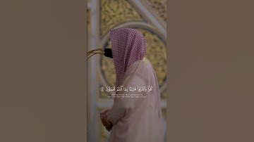#أحمد_الحذيفي #احمد_الحذيفي #قرآن #سورة_المرسلات