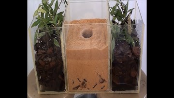 Collapsible soils: A simple demonstration