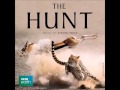Capture de la vidéo Bbc - The Hunt [Documentary] (Soundtrack)