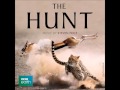 BBC The Hunt Documentary Soundtrack BBC The Hunt Documentary Soundtrack