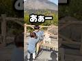 1歳児が兄と愛犬の仲に嫉妬してこうなった… #日常 #フレンチブルドッグ #赤ちゃん