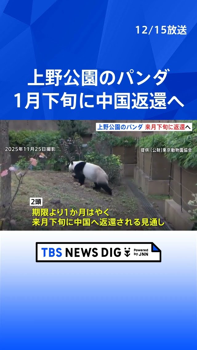 国内のパンダ「ゼロ」に】上野のパンダ 1月下旬に中国返還へ