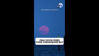 Pink Moon rises over Chesapeake Bay