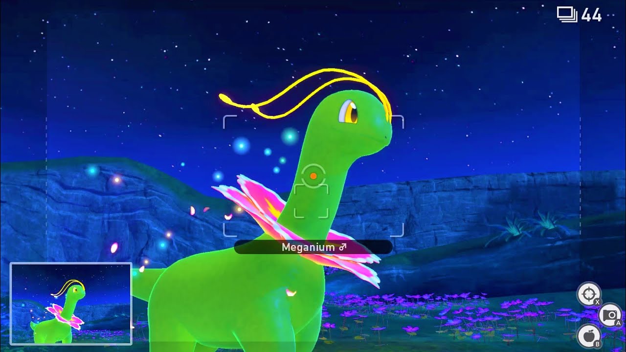 Meganium's Pal - Illumina Spot | New Pokémon Snap