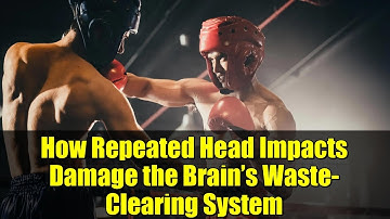How Repeated Head Impacts Damage the Brain’s Waste-Clearing System