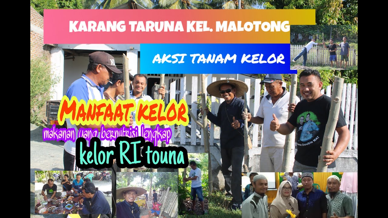 Manfaat Daun Kelor Dalam Pencegahan Virus Covid-19 | Aksi Tanam kelor