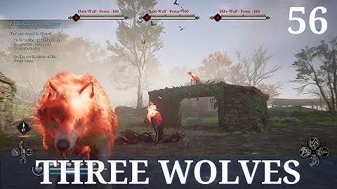 Three Wolves | Assassin