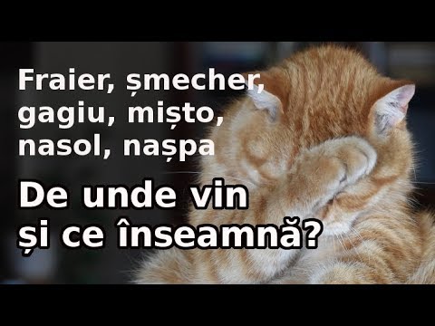 Fraier șmecher Gagiu Mișto Nasol Nașpa De Unde Vin și Ce Inseamnă Lumea Sub Lupă Youtube