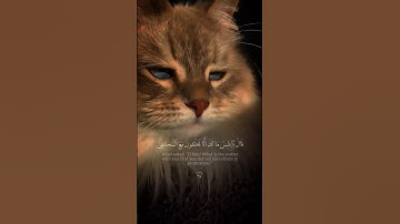🎧"قَالَ يَا إِبْلِيسُ مَا لَكَ أَلَّا تَكُونَ مَعَ السَّاجِدِينَ" (سورة الحجر: الآية 32) | "(Allah)