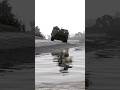 Soldier Stealthily Destroys Military Vehicle In A Swamp In GTA 5