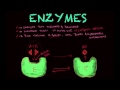 Understanding Enzymes