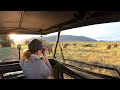 Safari in Kenia | Afrikareise während der Coronapandemie | Kenia 2020 (4K Video)