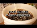 Come Fare La Birra In Casa Con Il Kit Di Fermentazione Birra Degli Amici Premium Come Fare La Birra In Casa Con Il Kit Di Fermentazione Birra Degli Amici Premium