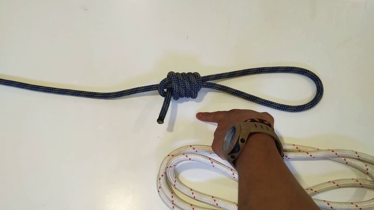 NUDO DOGAL DE VERDUGO