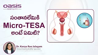 సంతానలేమికి Micro TESA అంటే ఏమిటి? | What is micro TESE? | Oasis Fertility Warangal