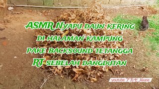 ASMR Nyapu daun kering di halaman kampung pake backsound tetangga RT sebelah dangdutan