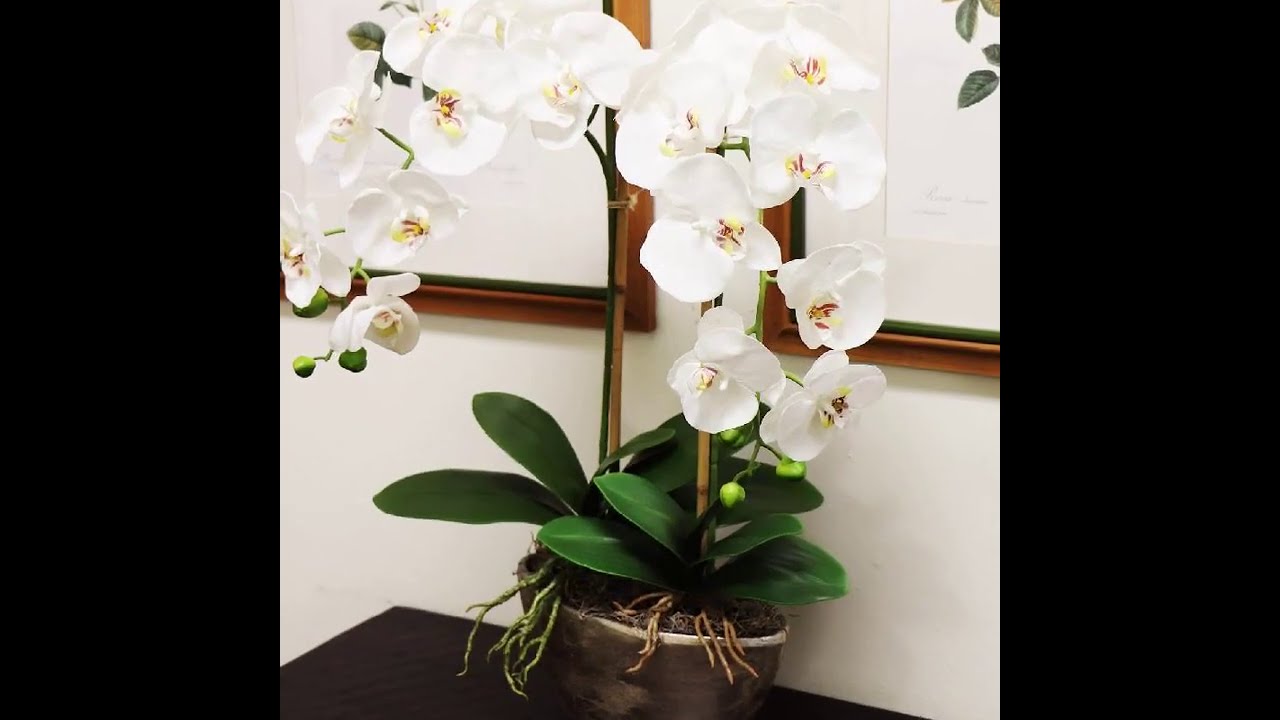 2 Pack White 33.5” Artificial Orchid Stems, REAL TOUCH Faux Decor with 9 Phalaenopsis Flowers