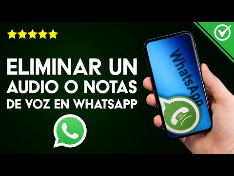 Cómo Eliminar un Audio o Notas de Voz de WhatsApp para Ti o para Todos de Chats y Grupos