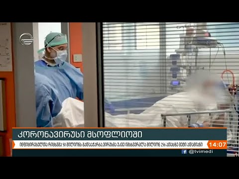 ქრონიკა 14:00 საათზე - 8 ნოემბერი, 2020 წელი