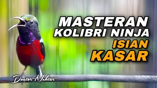 Download Lagu MASTERAN KONIN GACOR FULL ISIAN KASAR JANGKRIK COCOK BUAT MATERI AWAL KOLIBRI NINJA BAHAN OMYOKAN MP3 Download Lagu MASTERAN KONIN GACOR FULL ISIAN KASAR JANGKRIK COCOK BUAT MATERI AWAL KOLIBRI NINJA BAHAN OMYOKAN MP3