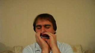 Harmonica Tunings - Todd Parrott