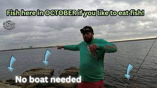 No BOAT needed for THIS OCTOBER HOTSPOT! Did not expect to find this bite here!