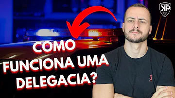 Quem trabalha na delegacia de polícia?