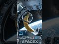 banana in space #spacex #space #banana #bananafunny #viral #viralvideo #pleassubcribe #elonmusk