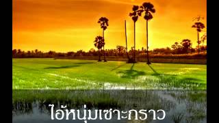 Video thumbnail of "ไอ้หนุ่มเซาะกราว"