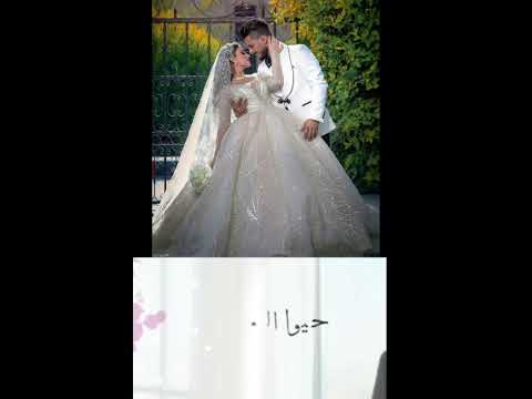 زفة محلاك طوني قطان