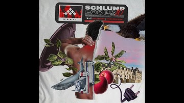 Schlump Loops 10 - Creative Drum Loops for Music Producers