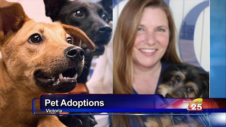 Dorothy O'Connor Pet Adoption could use the commun...