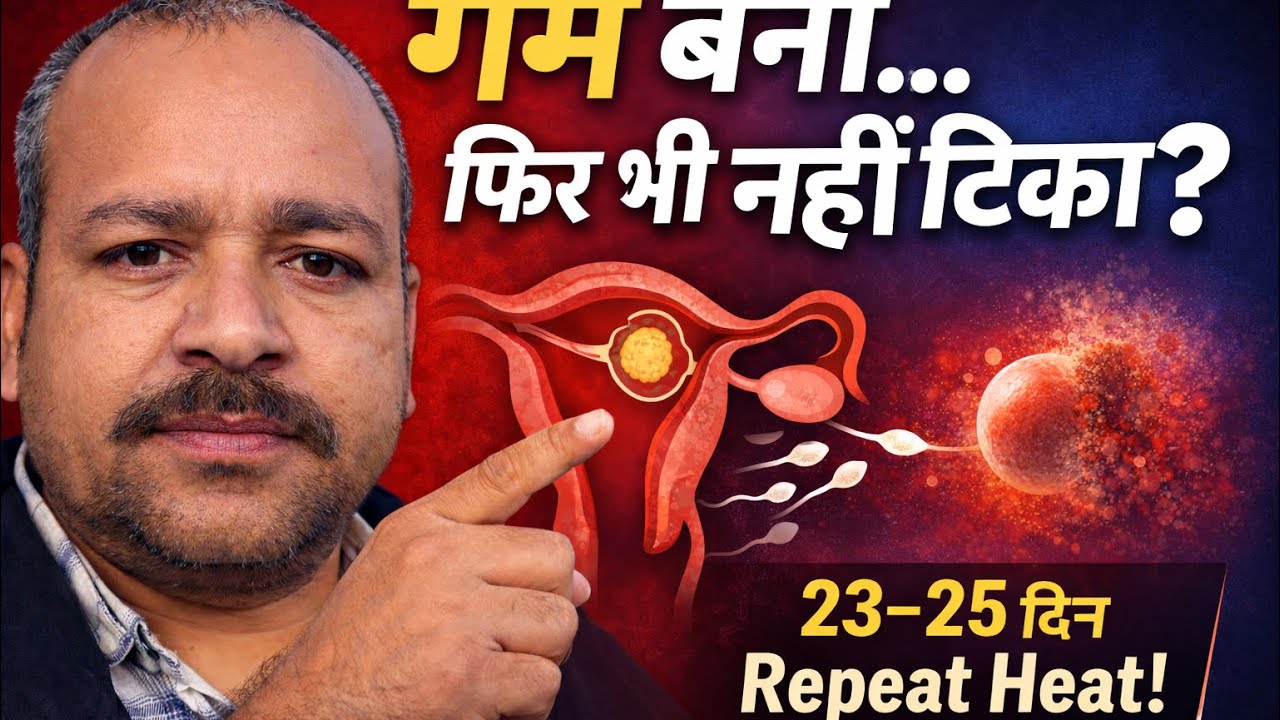 21 नहीं… 24 दिन में Heat क्यों? |गर्भ बना… फिर भी नहीं टिका? | 23–25 दिन Repeat Heat का असली कारण |